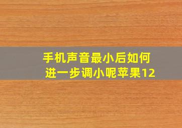 手机声音最小后如何进一步调小呢苹果12