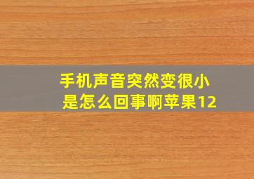 手机声音突然变很小是怎么回事啊苹果12