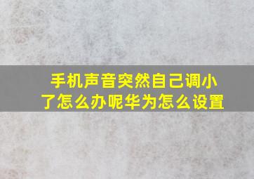 手机声音突然自己调小了怎么办呢华为怎么设置