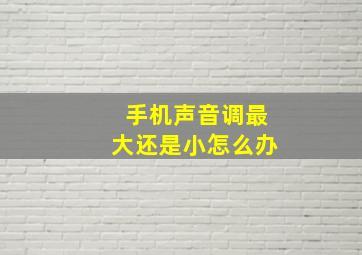 手机声音调最大还是小怎么办