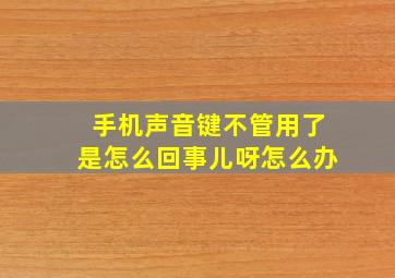 手机声音键不管用了是怎么回事儿呀怎么办