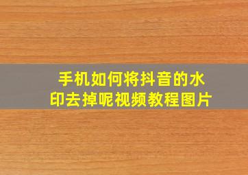 手机如何将抖音的水印去掉呢视频教程图片