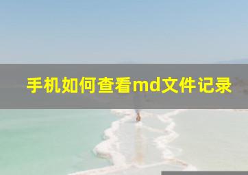 手机如何查看md文件记录