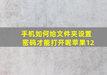 手机如何给文件夹设置密码才能打开呢苹果12