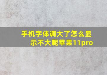 手机字体调大了怎么显示不大呢苹果11pro