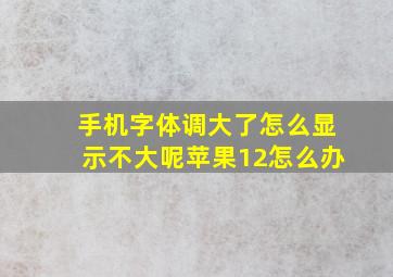 手机字体调大了怎么显示不大呢苹果12怎么办