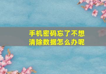 手机密码忘了不想清除数据怎么办呢