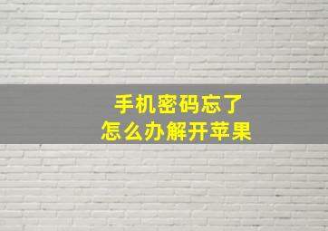 手机密码忘了怎么办解开苹果