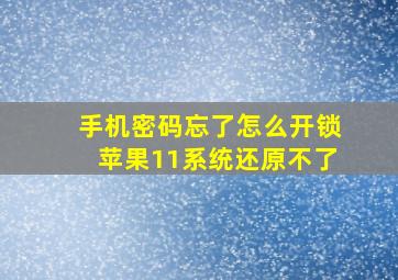 手机密码忘了怎么开锁苹果11系统还原不了