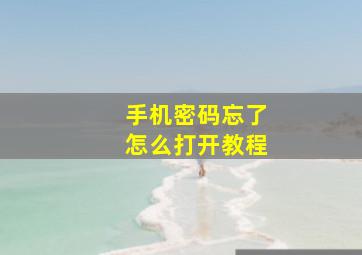 手机密码忘了怎么打开教程