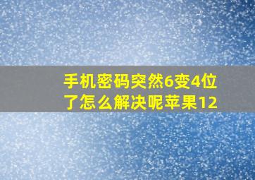 手机密码突然6变4位了怎么解决呢苹果12