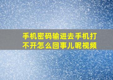 手机密码输进去手机打不开怎么回事儿呢视频