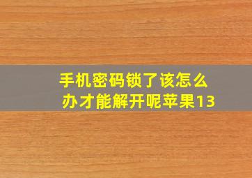 手机密码锁了该怎么办才能解开呢苹果13