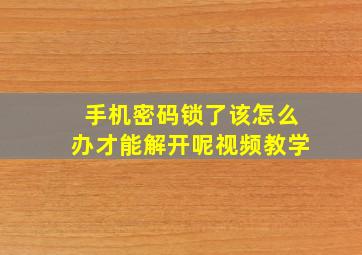 手机密码锁了该怎么办才能解开呢视频教学