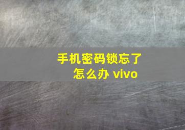 手机密码锁忘了怎么办 vivo