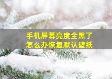 手机屏幕亮度全黑了怎么办恢复默认壁纸