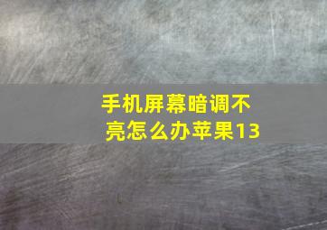 手机屏幕暗调不亮怎么办苹果13