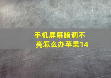 手机屏幕暗调不亮怎么办苹果14