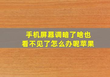 手机屏幕调暗了啥也看不见了怎么办呢苹果