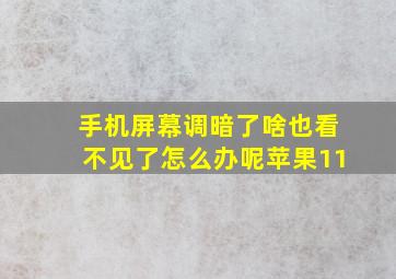 手机屏幕调暗了啥也看不见了怎么办呢苹果11