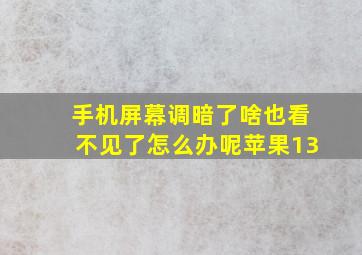 手机屏幕调暗了啥也看不见了怎么办呢苹果13