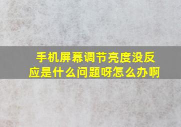 手机屏幕调节亮度没反应是什么问题呀怎么办啊