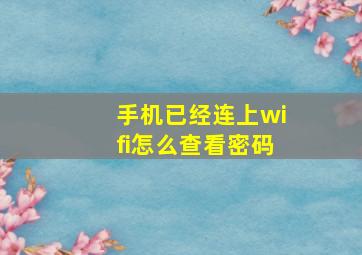 手机已经连上wifi怎么查看密码