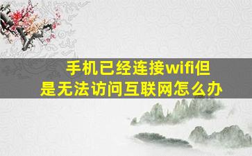 手机已经连接wifi但是无法访问互联网怎么办