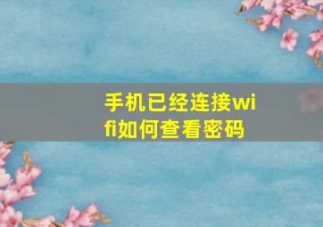 手机已经连接wifi如何查看密码