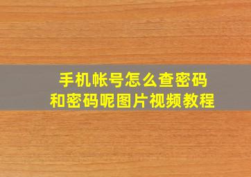 手机帐号怎么查密码和密码呢图片视频教程