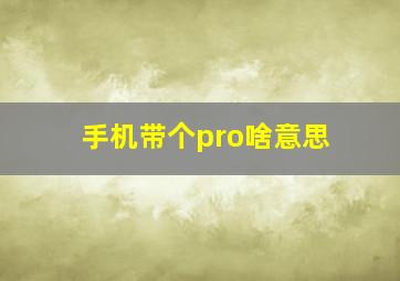 手机带个pro啥意思