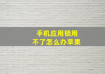 手机应用锁用不了怎么办苹果