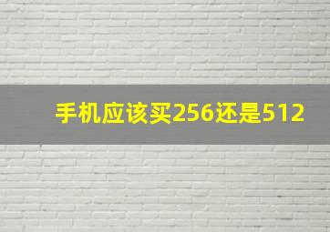 手机应该买256还是512