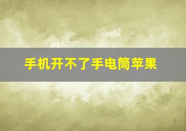 手机开不了手电筒苹果