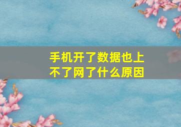 手机开了数据也上不了网了什么原因