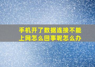 手机开了数据连接不能上网怎么回事呢怎么办