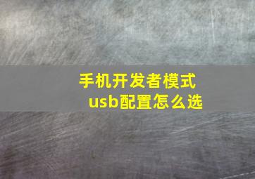 手机开发者模式usb配置怎么选