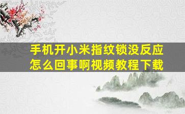 手机开小米指纹锁没反应怎么回事啊视频教程下载