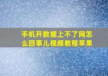 手机开数据上不了网怎么回事儿视频教程苹果