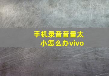 手机录音音量太小怎么办vivo