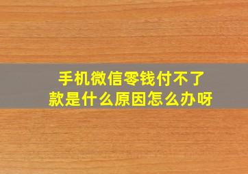 手机微信零钱付不了款是什么原因怎么办呀