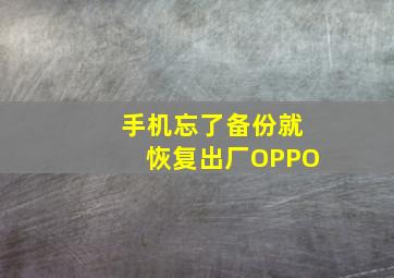 手机忘了备份就恢复出厂OPPO