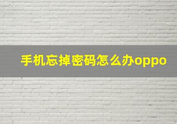 手机忘掉密码怎么办oppo