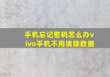 手机忘记密码怎么办vivo手机不用清除数据