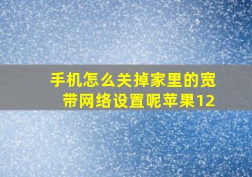 手机怎么关掉家里的宽带网络设置呢苹果12