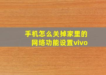 手机怎么关掉家里的网络功能设置vivo