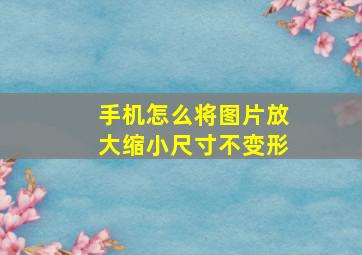 手机怎么将图片放大缩小尺寸不变形