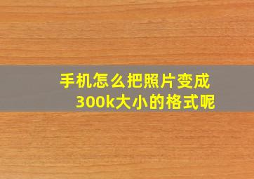 手机怎么把照片变成300k大小的格式呢