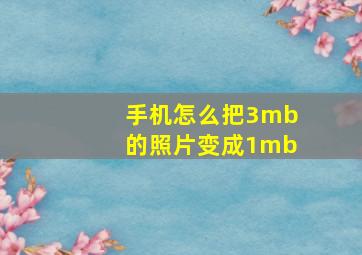 手机怎么把3mb的照片变成1mb