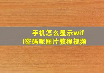 手机怎么显示wifi密码呢图片教程视频